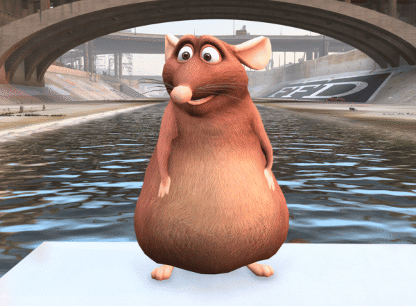 Big Rat